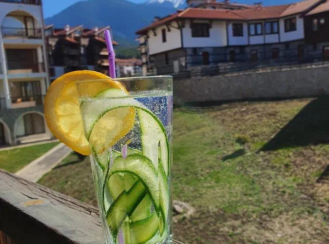 Koko's 2 * 班斯科