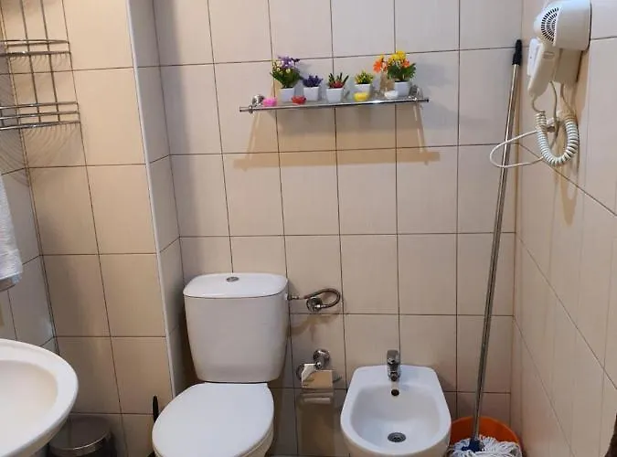 Koko's 2 * 班斯科